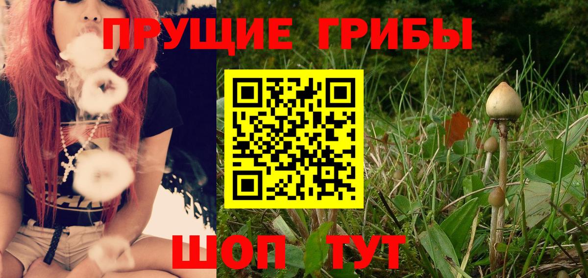 Озёры  Псилоцибиновые грибы прущие грибы  Вход с VPN 